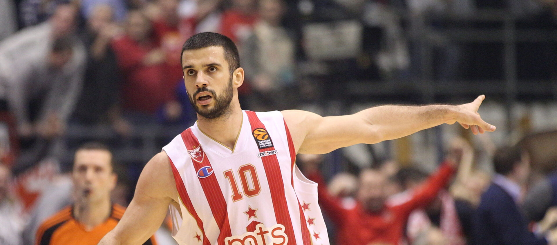 Branko Lazić: The Pit Bull Who Became a Zvezda Symbol